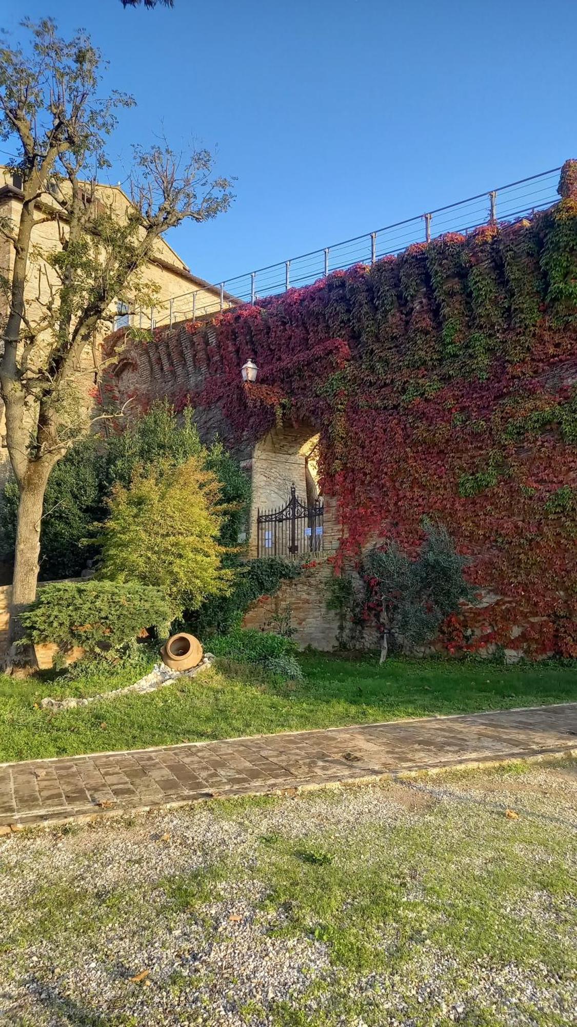 Appartamento Novecento Bertinoro Esterno foto
